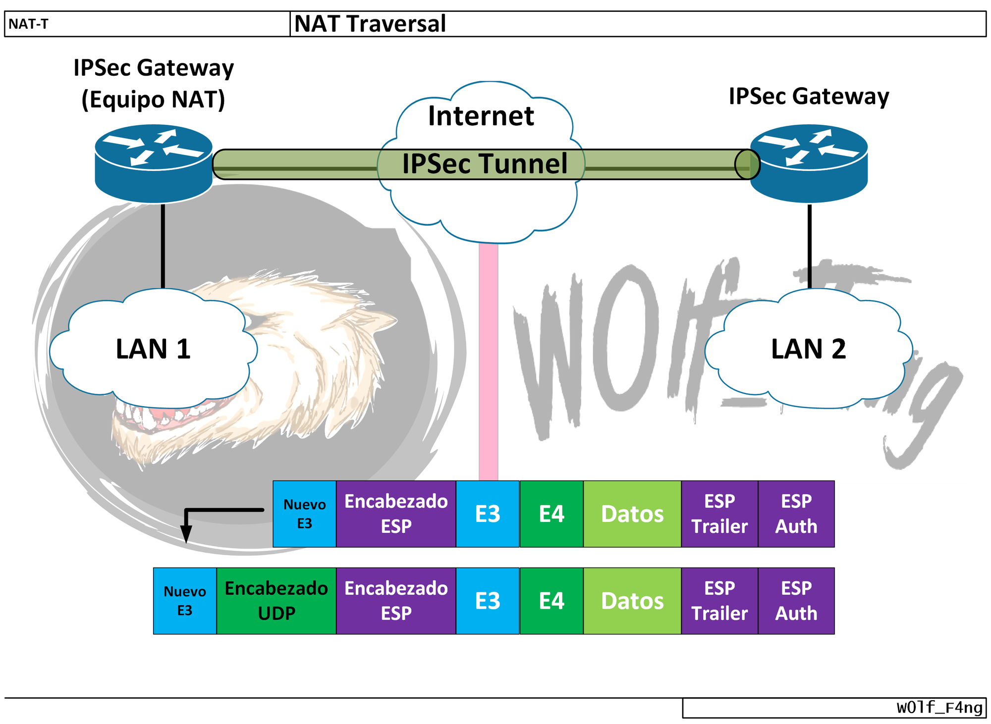 NAT-T