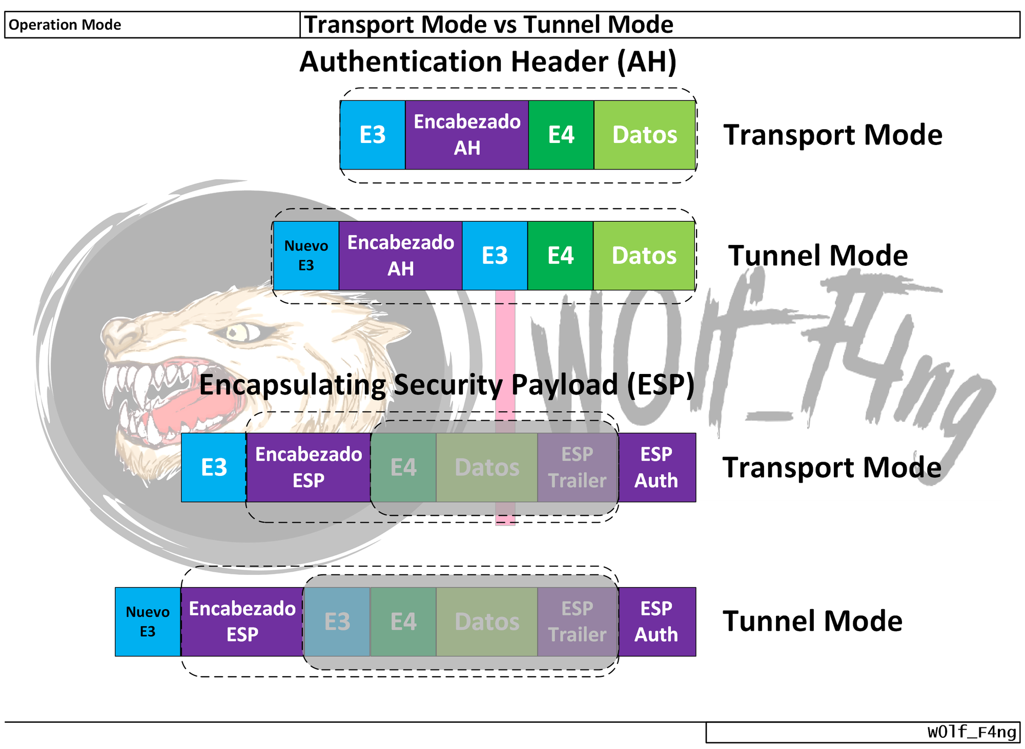 transport-tunnel-2