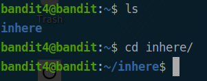 bandit